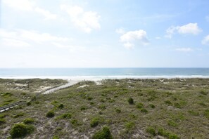 Nära stranden
