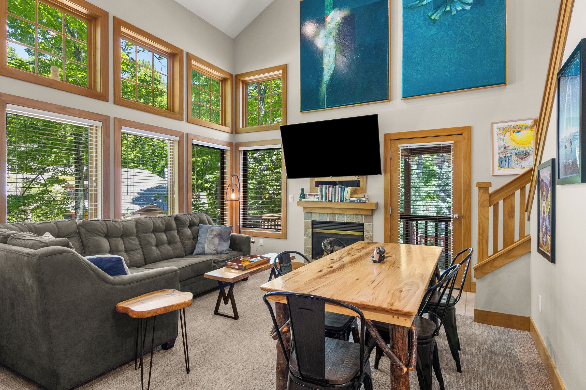 Smart TV, fireplace, DVD player, video library