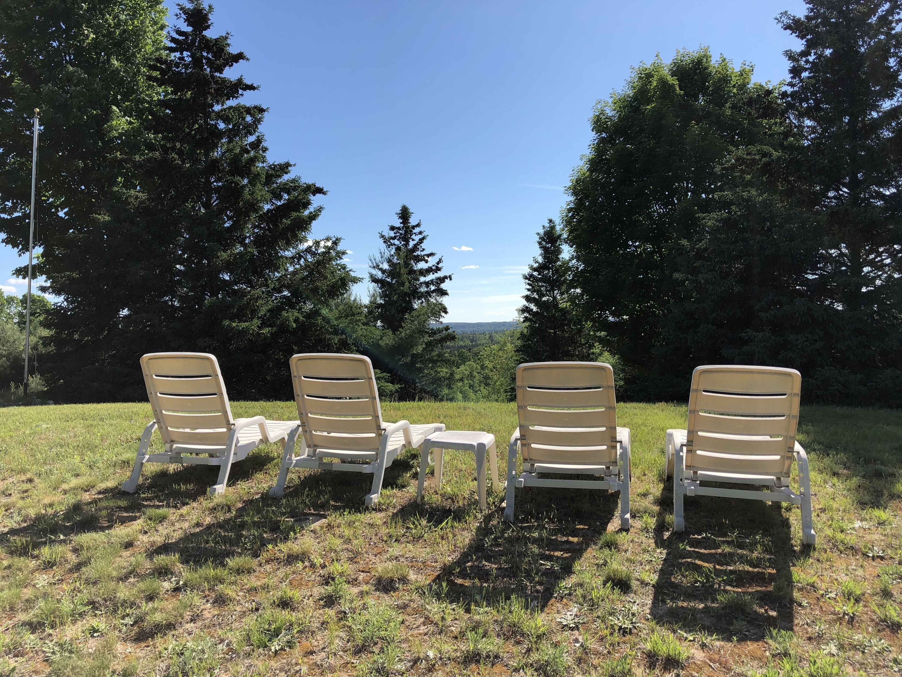 Four outdoor lounge chairs arranged in a row on a grassy field with a view of trees and a clear sky.