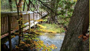 Eine Holzbrücke über einen Bach, umgeben von Bäumen und Herbstlaub.