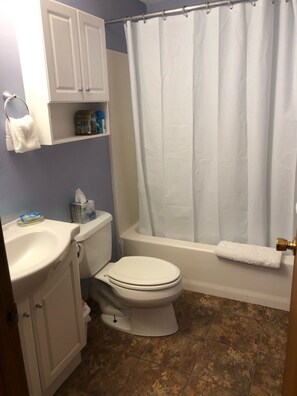 Combined shower/bathtub, hair dryer, towels, soap