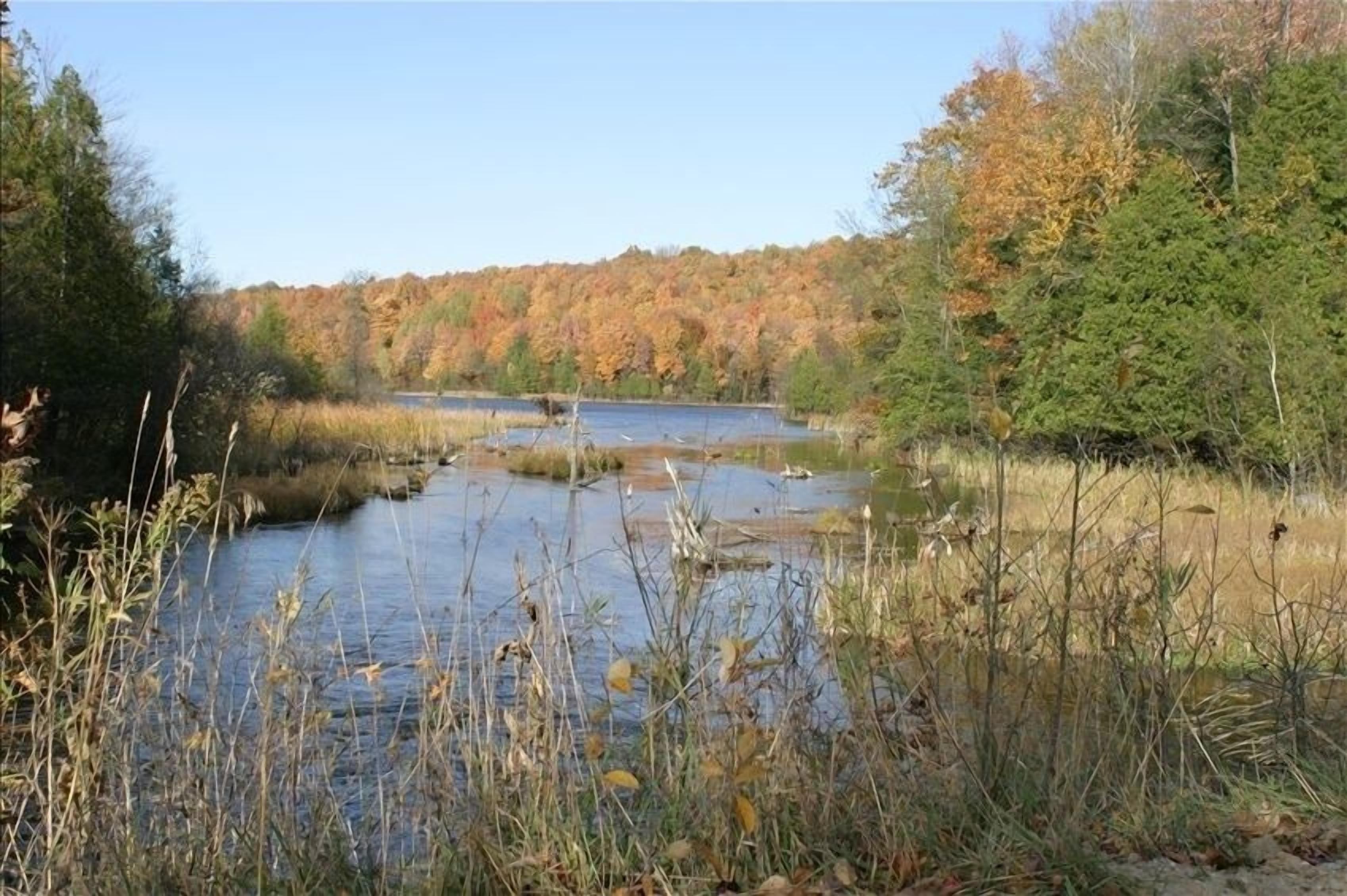 Eine natürliche Landschaft mit einem Fluss, umgeben von Bäumen im Herbstlaub.