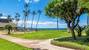A well-maintained lawn with a pathway leading to a building with a thatched roof, surrounded by tall palm trees and a clear view of the ocean. - Ma'alaea Surf Unit C1 Beachfront Condo, 2BR Ground Floor, AC, Wifi, Kitchen (Kihei)