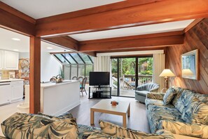 TV, fireplace, DVD player