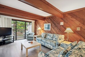 TV, fireplace, DVD player