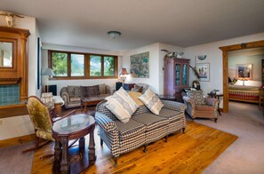 TV, fireplace, DVD player, books