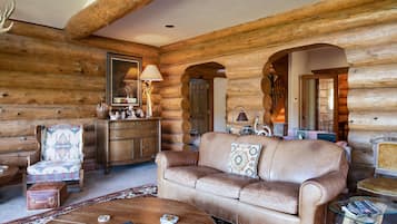 TV, fireplace, DVD player, books