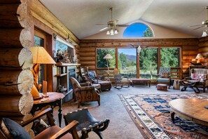 TV, fireplace, DVD player, books