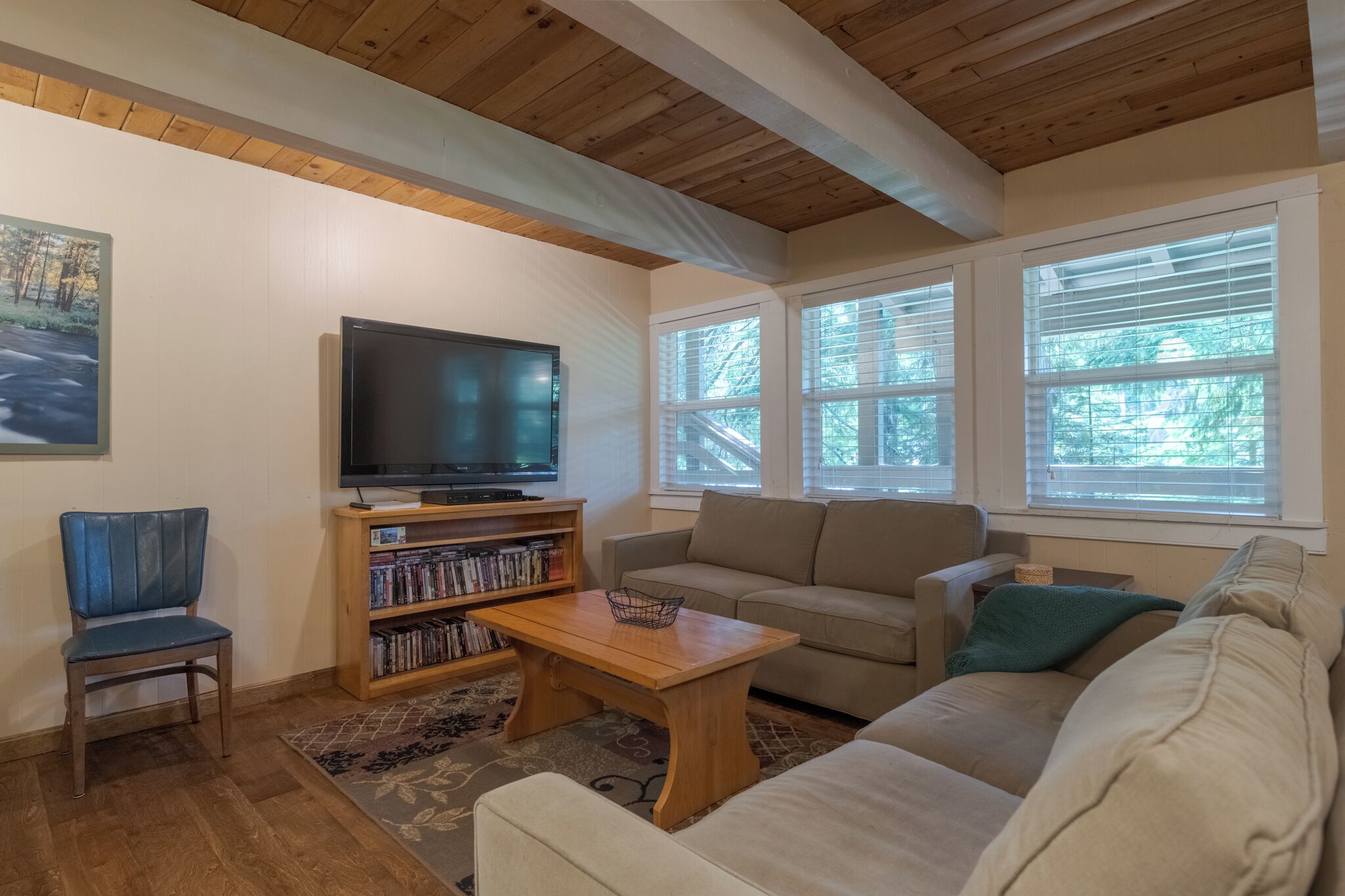 TV, fireplace, video games, DVD player