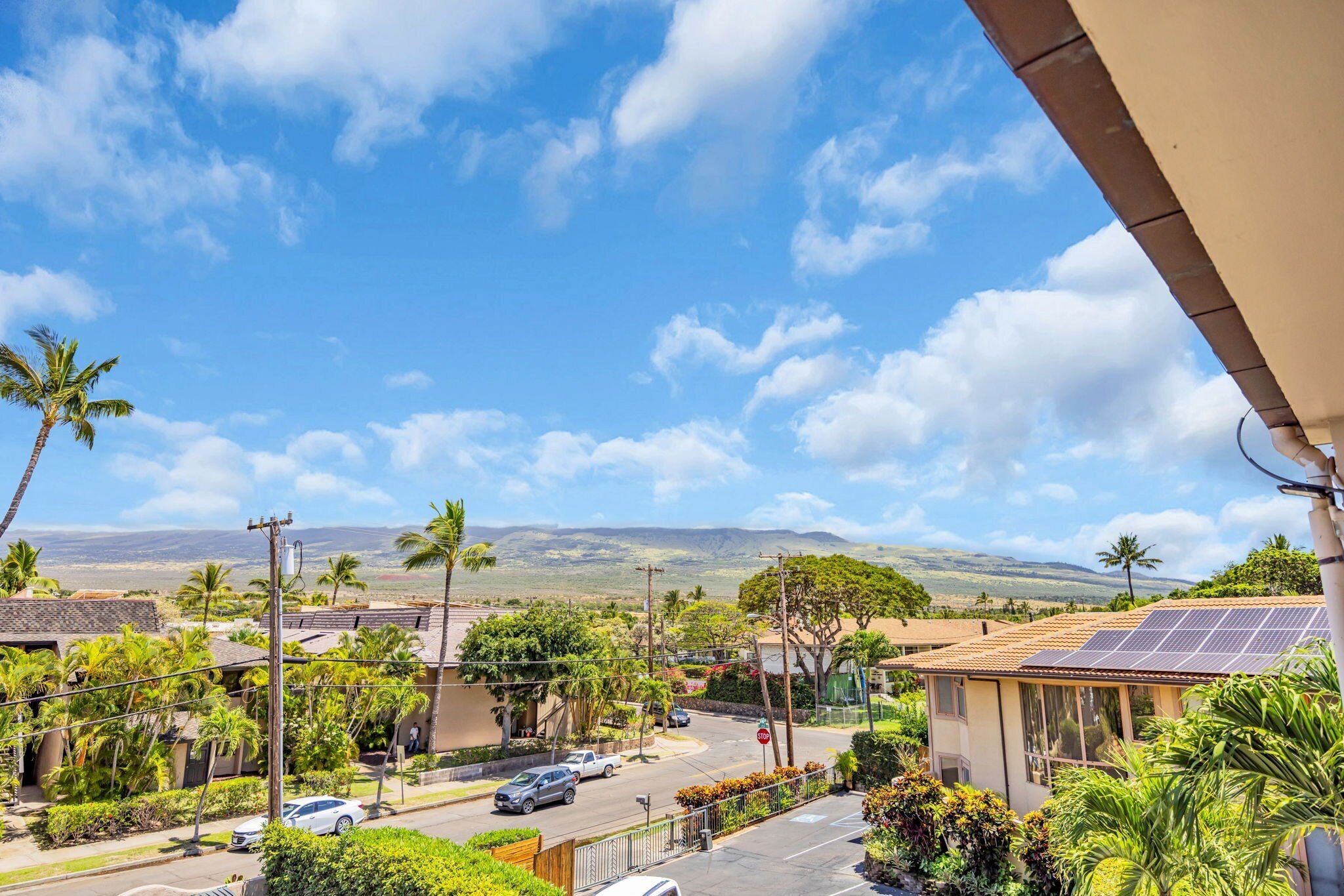 A residential area with houses, palm trees, and a clear blue sky.