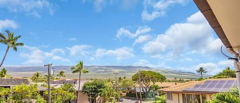 A residential area with houses, palm trees, and a clear blue sky.