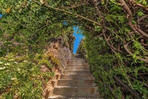 A set of stone steps leading up a hill, surrounded by dense greenery and a clear blue sky.