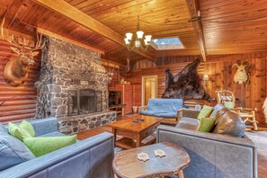 Televisión, chimenea, reproductor de DVD y libros 