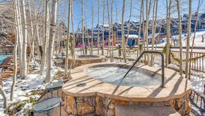 Un espace de détente avec un jacuzzi, des sièges en pierre et des bouleaux.