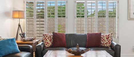 TV, fireplace, computer monitors