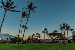 A hotel with multiple floors, a green lawn, and palm trees.