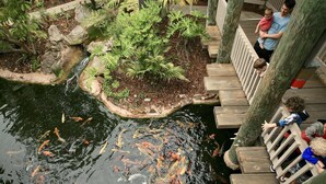 A koi pond with a wooden deck overlooking it. - Modern Kitchen w/ Ocean & Harbor View- Upper Cottage, G32  North Coast Village (Oceanside)