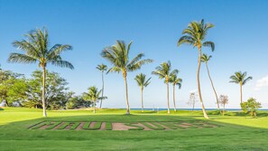 A golf course with a clear view of the ocean and palm trees.