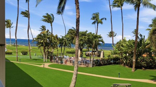 A view of a lush green lawn with palm trees, a pathway, and a view of the ocean.
