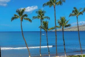 A beach with palm trees and a sailboat in the distance.