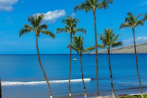 Plage, chaises longues, serviettes de plage