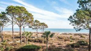 Paisaje costero con pinos y una playa al fondo.