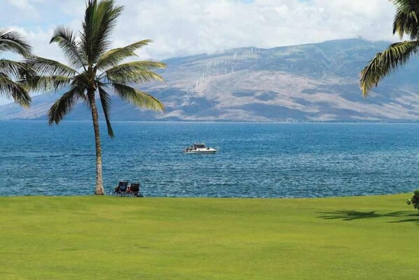 Vista costera con un bote en el agua, palmeras y una zona verde con sillas.