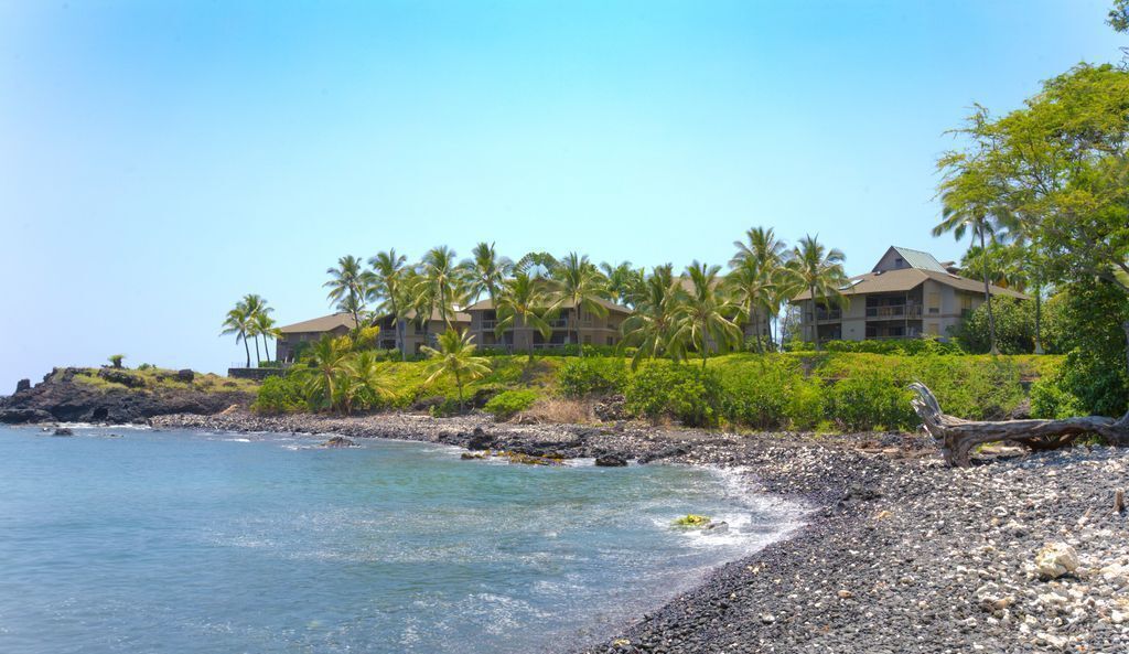 Un hôtel situé en bord de mer, composé de plusieurs bâtiments, bordé de palmiers et doté d’une côte rocheuse.