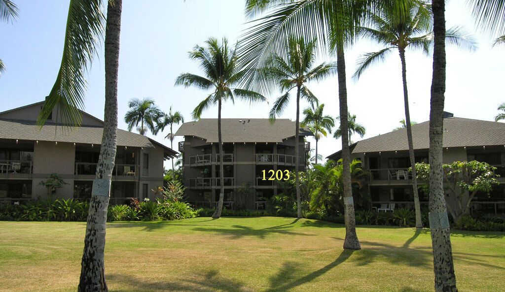A hotel with multiple floors, palm trees in the foreground, and the number 1203 visible.