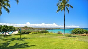 A well-maintained grassy area with a volleyball net, palm trees, and a view of a beach and ocean. - Best of Wai'ula'ula - Beautiful Decor, Ocean View, Resort Access! (Kamuela)