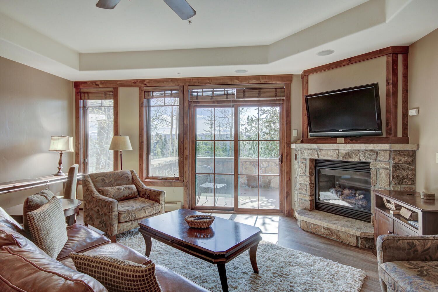 电视、壁炉、DVD 播放器