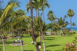 A well-maintained park with palm trees, picnic tables, and a clear view of the ocean.