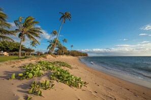 Una spiaggia con palme e un cielo sereno.