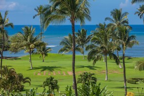 Un campo da golf con vista sull'oceano e palme.