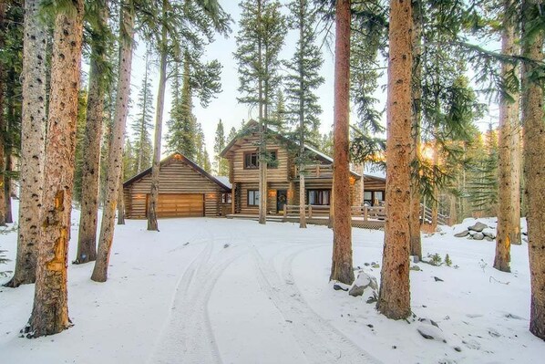 Une cabane en rondins dont l’allée est recouverte de neige, entourée de grands pins.