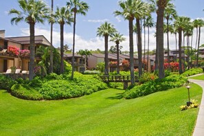 A resort with multiple-story buildings, palm trees, and well-maintained lawns. - Spectacular Views at Wailea Elua 2010: Tranquil Oasis on Lush Oceanfront Grounds (Wailea, Maui)
