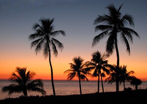 A sunset with palm trees silhouetted against the sky. - Island Beach Club #360D is a 2/2 vacation rental on Sanibel Island! (Sanibel)