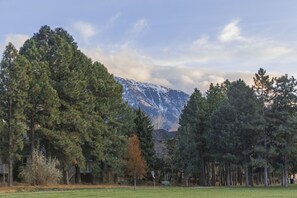 Unclassified image, 4 of 31, button