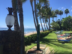 A beachside view with palm trees, a stone wall, and a row of lounge chairs facing the ocean.