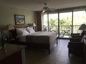 1 soverom, safe på rommet, strykejern/-brett og wi-fi (inkludert)