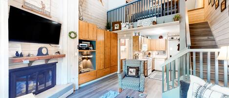 TV, fireplace, DVD player, books