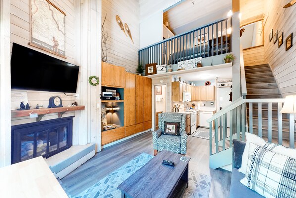 Televisio, takka, DVD-soitin, kirjoja