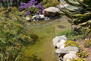 A garden with a pond, rocks, and various plants. - Above the Waves - Views! Pool! Beach! Tennis! (Solana Beach)