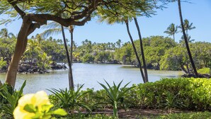 A tropical landscape with a lake, palm trees, and lush greenery. - 1st Floor Mauna Lani Terrace Condo - Private Beach Access! (Kamuela)