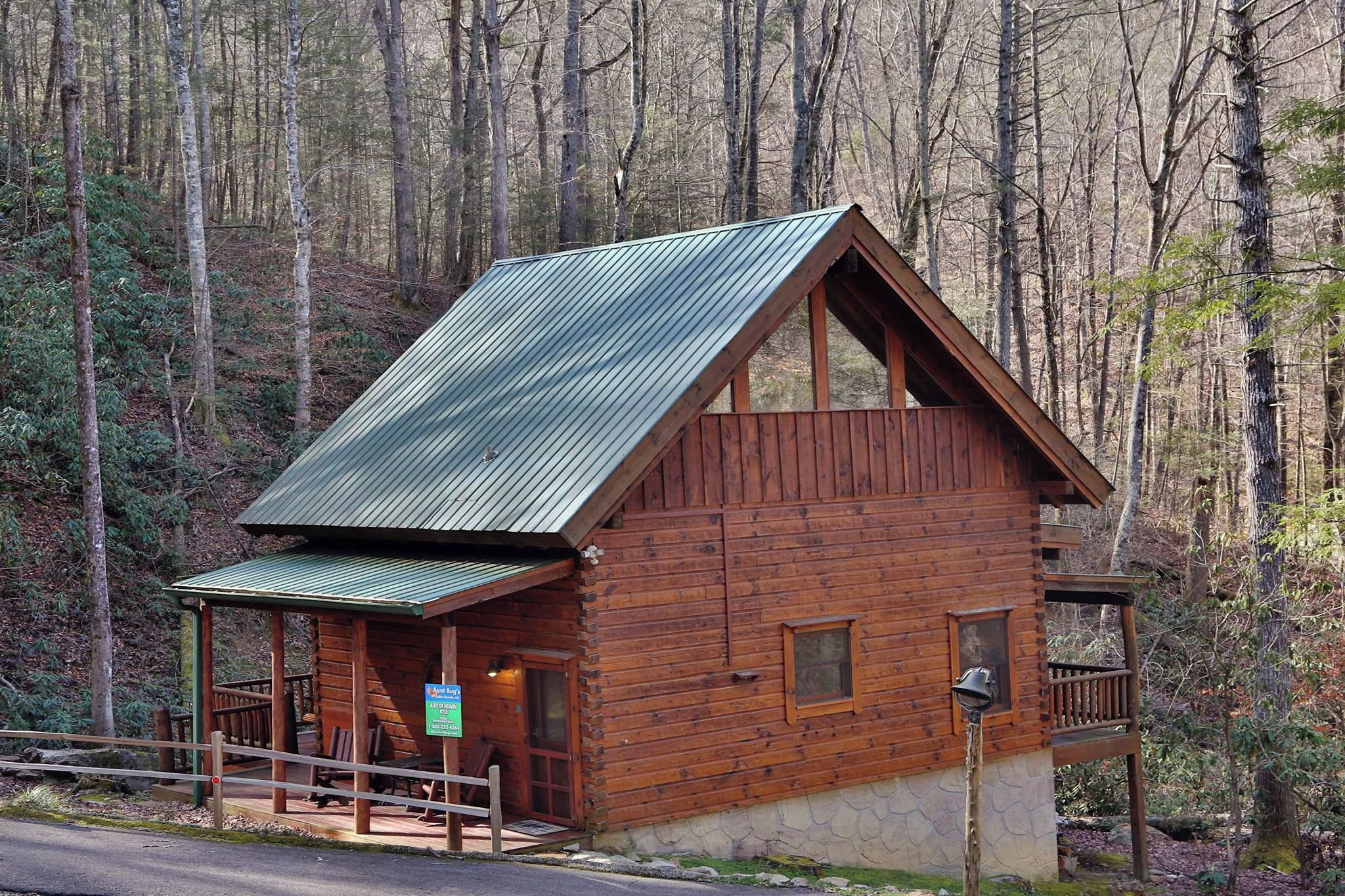 A wooden cabin with a metal roof, surrounded by a forest.