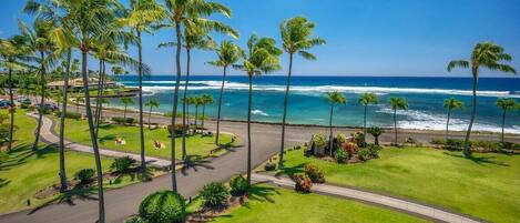 A coastal view with palm trees, a road, and ocean waves.