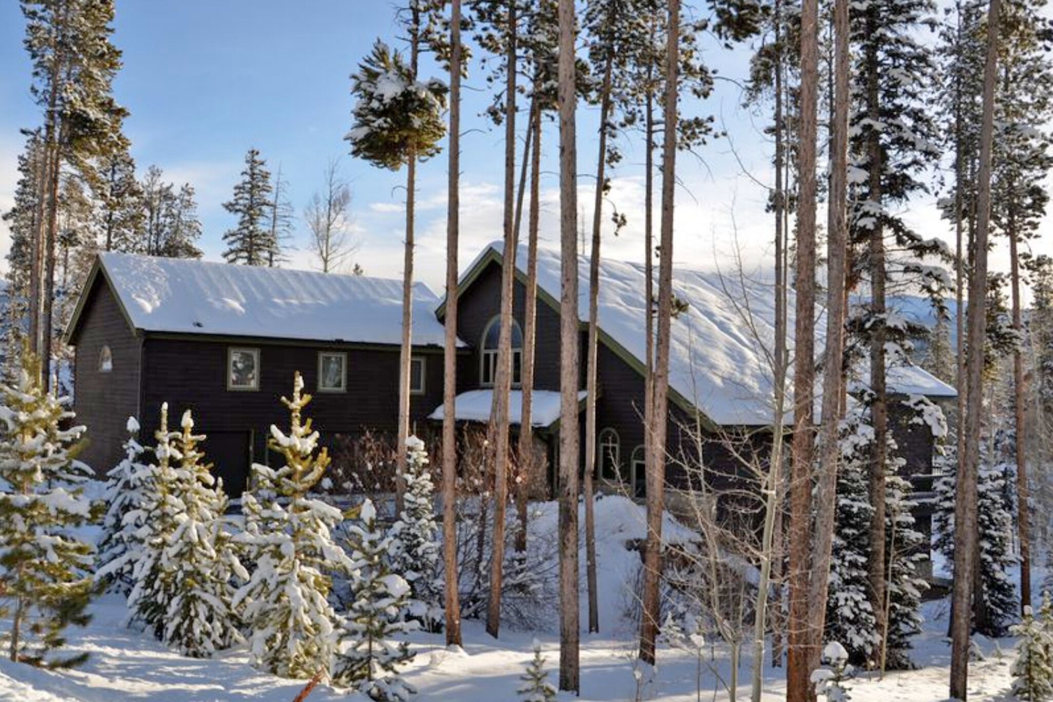 Eine Hütte, umgeben von hohen, schneebedeckten Bäumen.