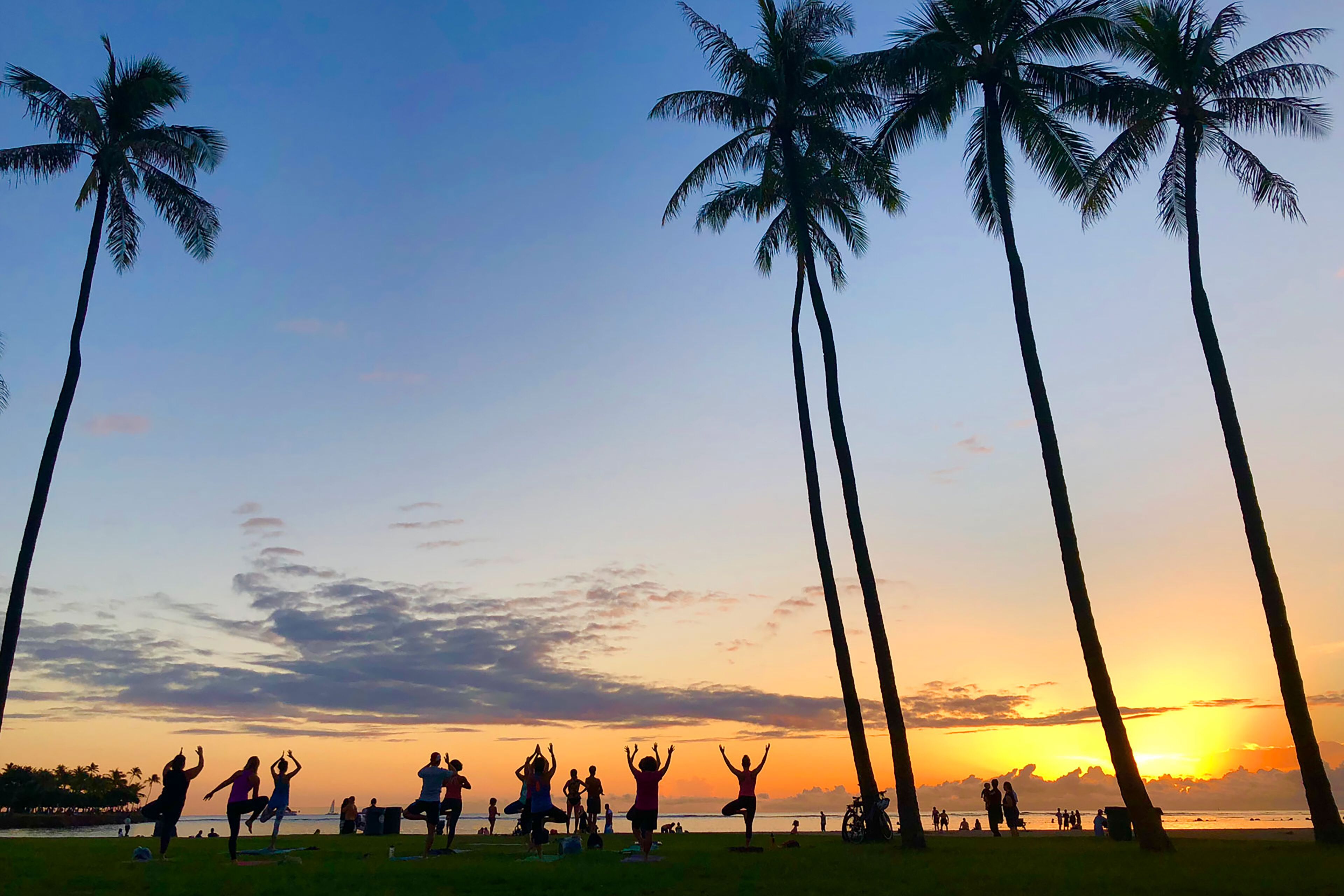 Silhouettes of people practicing yoga on a beach at sunset, with palm trees and a clear sky.