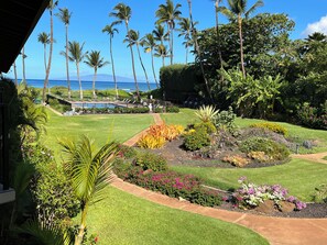 A landscaped garden with a pool, palm trees, and a view of the ocean.