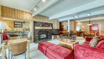 Télévision, cheminée, lecteur de DVD, livres